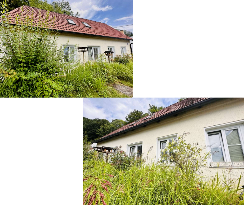 Einfamilienhaus Gloggnitz